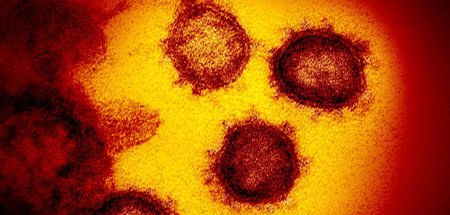 Unheimliches Element: Das Virus
