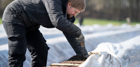 Wer macht die harte, schlecht bezahlte Arbeit? Weil Saisonarbeit...