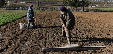 Ein mittelständisches Bauerntum wurde in der Ukraine nur in Ausn...