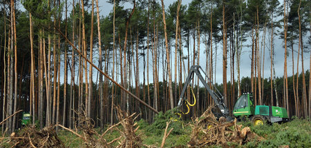 Baustelle_Tesla_Werk_64445683.jpg