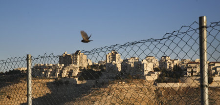 Israelischer Siedlungsausbau im besetzten Westjordanland (Maale
