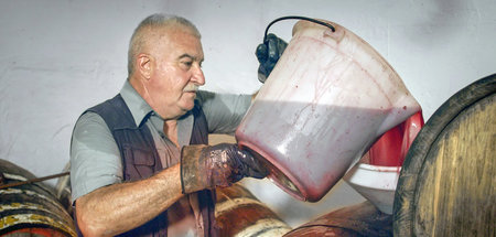 Ein Weinbauer auf Sizilien: »Alkohol – Der globale Rausch«