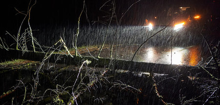 Blutiger Westerwald: In »Soko Heidefieber« geht es schlechten Kr...