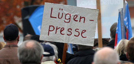 Anhänger der AfD bei einer Demonstration in Rostock (2015)
