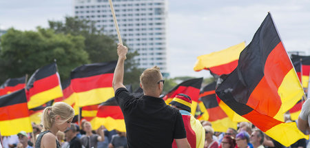 Bleibende Plage: Kollektivwahn Nationalismus (AfD-Kundgebung in ... Bleibende Plage: Kollektivwahn Nationalismus (AfD-Kundgebung in ...