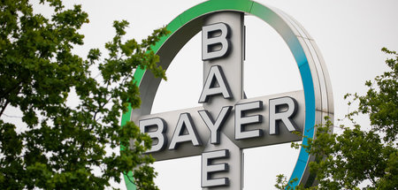 Unternehmenslogo der Bayer AG