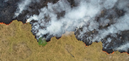 Landnahme in Brasilien: Der Urwald brennt aus Notwendigkeit kapi...