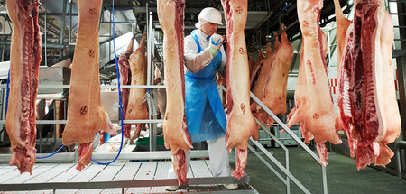 Akkord: Beschäftigte im »fleischindustriellen Komplex« schuften ...