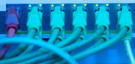 Unter Kontrolle: Netzwerkkabel in einem Serverraum