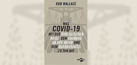1 Kopie.jpg