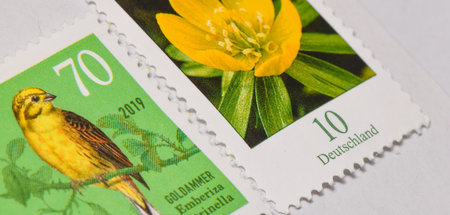 80 Cent für den Standardbrief der Post: Konkurrenten halten Port...