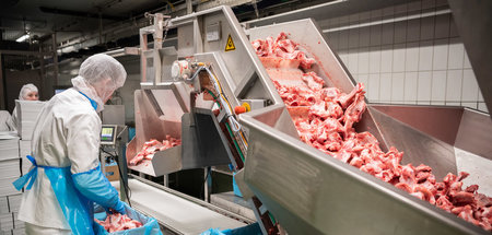 Besonders in der Nahrungsmittelindustrie setzen Bosse auf maxima...