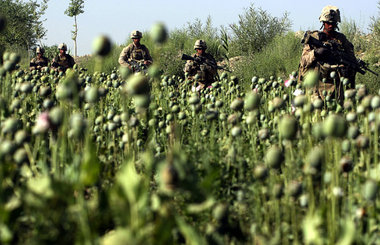 Seit US-Truppen und die NATO Krieg in Afghanistan führen, erreic...