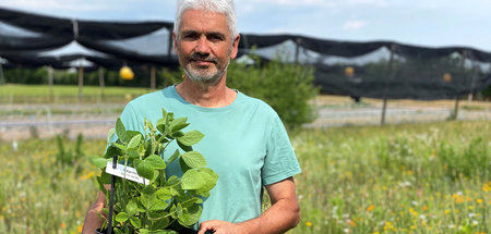 Volker Hahn forscht an einer neuen Sojapflanze: »Re: Anders acke...