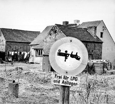 Genossenschaft auf der Überholspur