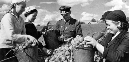 Ernährten sich durch Raub. Die Wehrmacht – hier ein sogenannter ...