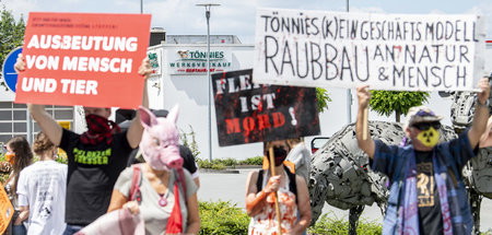 Monopole sind Profiteure des Schweinesystems. Protest am Firmens...