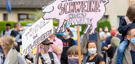 Proteste gegen das Schweinesystem bei Tönnies am Samstag in Kell...