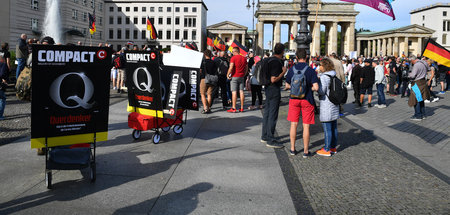 Protest_gegen_Corona_66474616(1).jpg