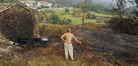 Pedros Garten nach dem Waldbrand in seinem Dorf: »Vom Feuer bedr...