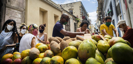 Markt in Havanna: Die kubanische Regierung setzt auf den Ausbau ...