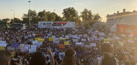 Proteste_gegen_Gewal_66217074.jpg