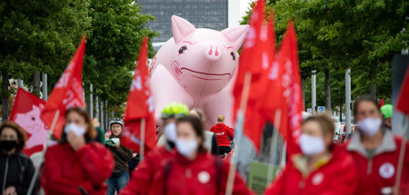 Der Protest gegen die Ausbeutung in der Fleischindustrie nimmt z...