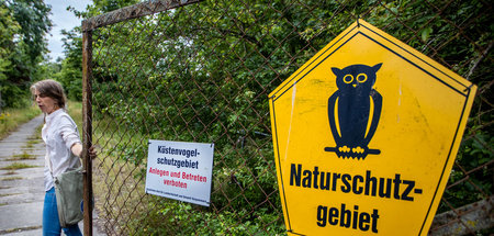 Vogelschutzinsel_Koo_65894934.jpg