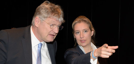 Wegweisend: AfD-Bundestagsfraktionsvorsitzende Alice Weidel nebe...