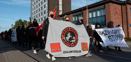 Protest von AfD-Gegnern in Henstedt-Ulzburg am Sonntag, einen Ta...