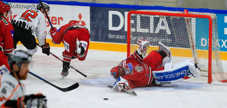 »Nicht in der Versenkung verschwinden«: DEL2-Partie EV Landshut ... »Nicht in der Versenkung verschwinden«: DEL2-Partie EV Landshut ...
