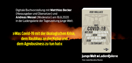 1 Kopie.jpg