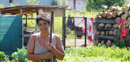 Elisabeta hat zehn Jahre lang auf einer deutschen Erdbeerfarm ge...