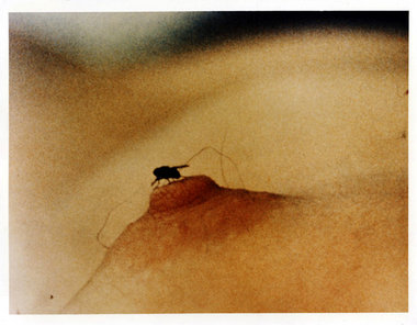 Aus Yoko Onos Film »Fly«, 1970