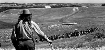 Auf geraubtem Land: Beerdigung des vom FBI ermordeten AIM-Mitgli...