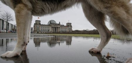 Im Visier von Rechten, Geschäftemachern und Lobbyisten: Der Bund...