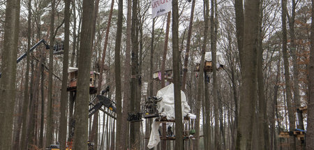 Raeumung_Dannenroede_67501430.jpg
