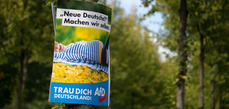 Bei komplexen Fragen zur Ausgestaltung des Rentensystems denkt d...