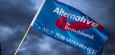 Partei für geistige Brandstiftung: AfD
