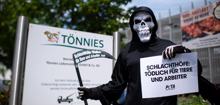 Schlachthöfe entwickeln sich in der Coronakrise zum Seuchenpfuhl