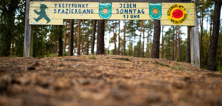 Protest mit Tradition: Wald nahe dem Salzstock Gorleben, der lan...