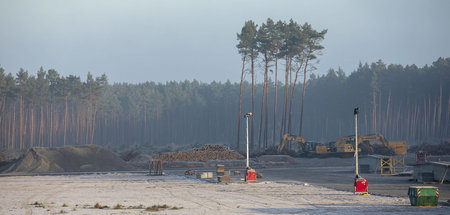 Tesla darf in Brandenburg weiter roden lassen: Baustelle bei Grü...