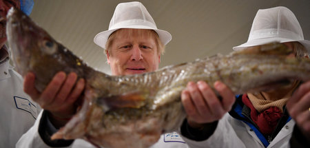 Premier Boris Johnson auf dem Fischmarkt in Grimsby (Dezember 20...