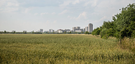Die grüne Wiese ist neues Objekt der Begierde: Stadtrand von Ber...
