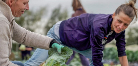 Christiane (l.) und Christina (r.) helfen bei der Ernte in der s...