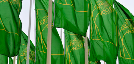 Gruene_Woche_68018512.jpg