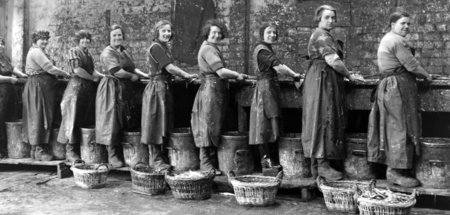 Eine Klasse für sich? Arbeiterinnen einer schottischen Fischfabr... Eine Klasse für sich? Arbeiterinnen einer schottischen Fischfabr...