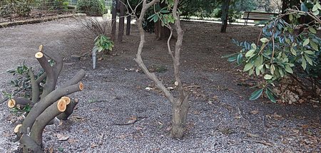 05-HU-3-GiselaSonnenburg.jpg