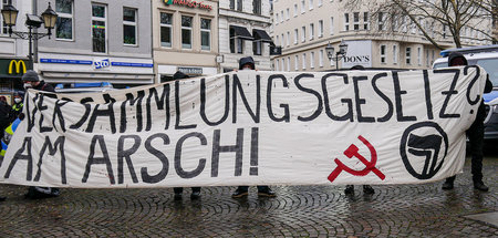 245.jpg