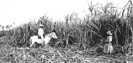 imago0093331952h.jpg